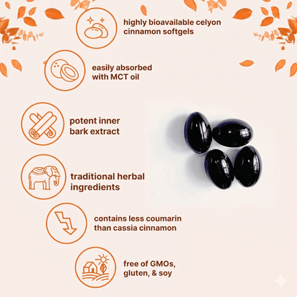 Ceylon Cinnamon 7200mg Equivalent with MCT Oil PM